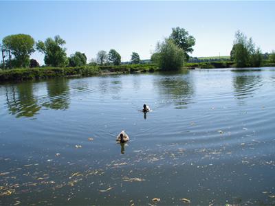 Picture 9